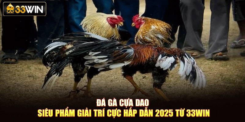 Đá Gà Cựa Dao – Siêu Phẩm Giải Trí Cực Hấp Dẫn 2025 Từ 33Win