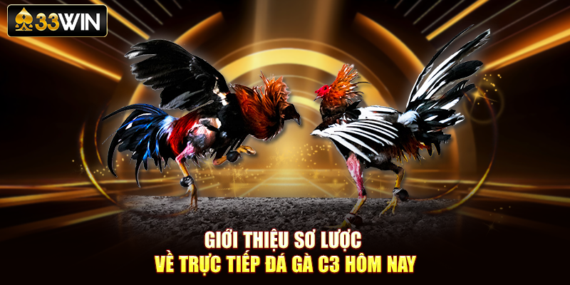 Giới thiệu sơ lược về trực tiếp đá gà C3 hôm nay