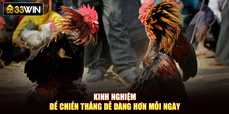 Kinh nghiệm để chiến thắng dễ dàng hơn mỗi ngày