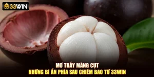 Mơ Thấy Măng Cụt - Những Bí Ẩn Phía Sau Chiêm Bao Từ 33Win