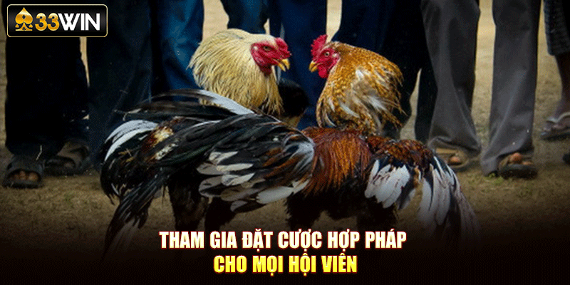 Tham gia đặt cược hợp pháp cho mọi hội viên