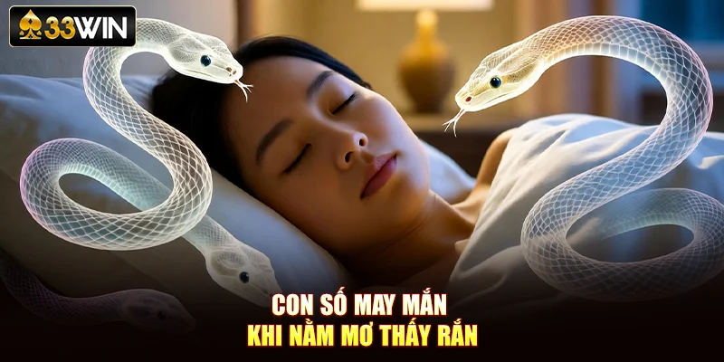 Con số may mắn khi nằm mơ thấy rắn